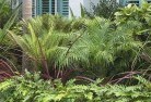 Woodville Southbeach-and-coastal-landscaping-3.jpg; ?>